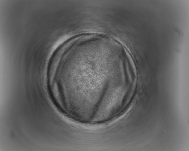 X0000113340008200910061007
