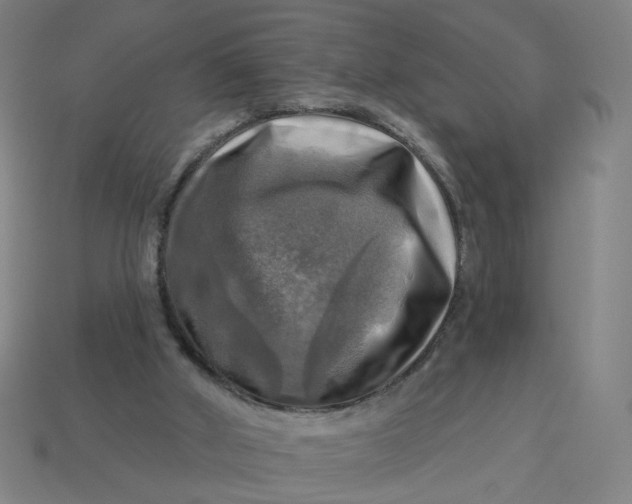 X0000113340010200910061007