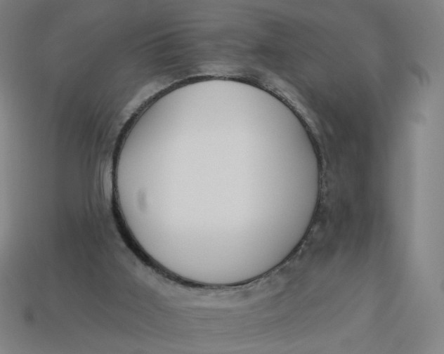 X0000113340011200910061007
