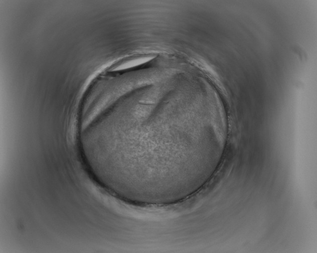 X0000113340012200910061007