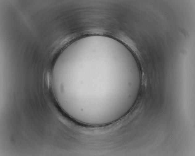 X0000113340013200910061007