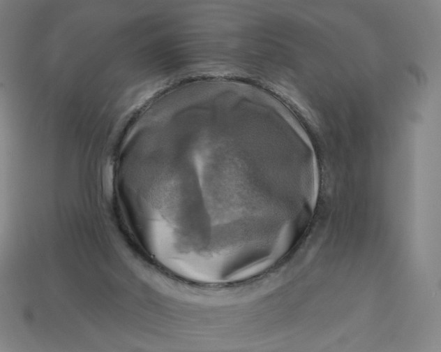X0000113340014200910061007