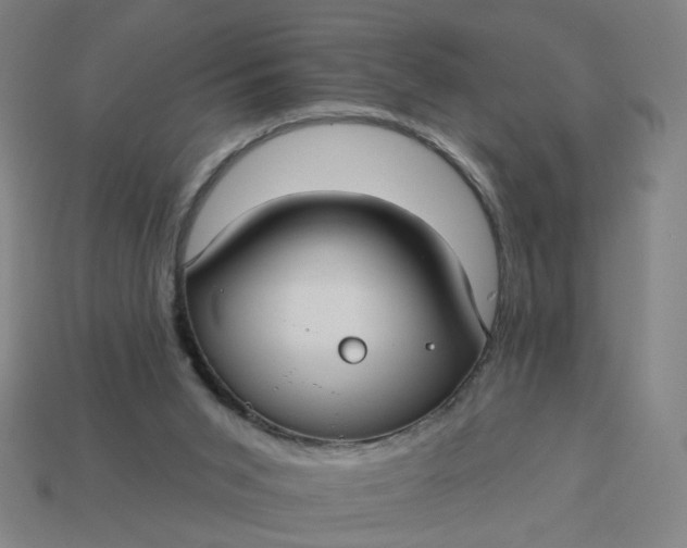 X0000113340015200910061007