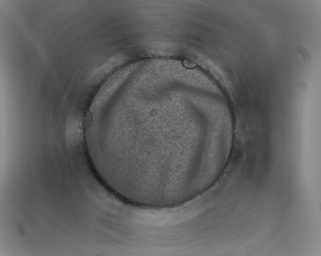 X0000113340017200910061007