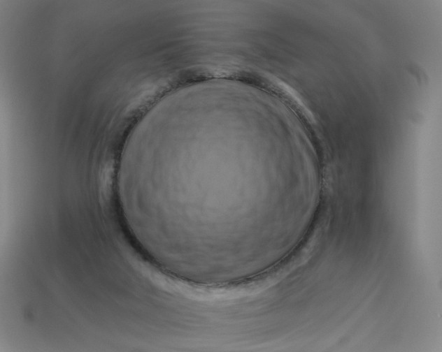 X0000113340018200910061007