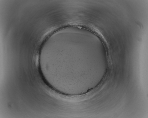 X0000113340019200910061007