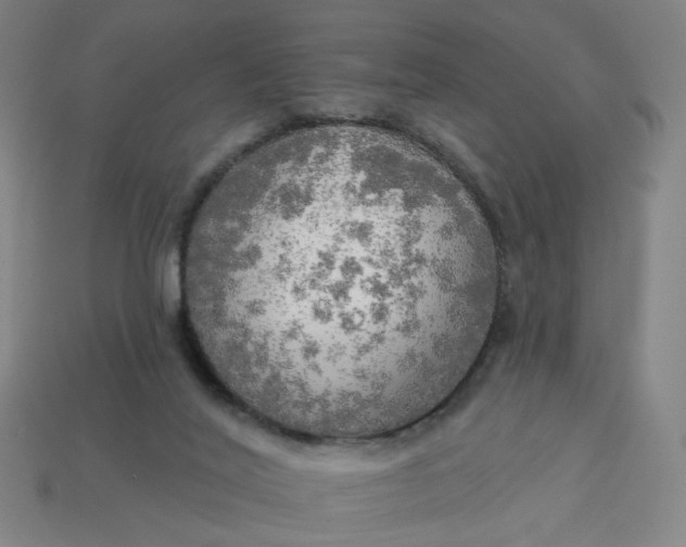 X0000113340020200910061007