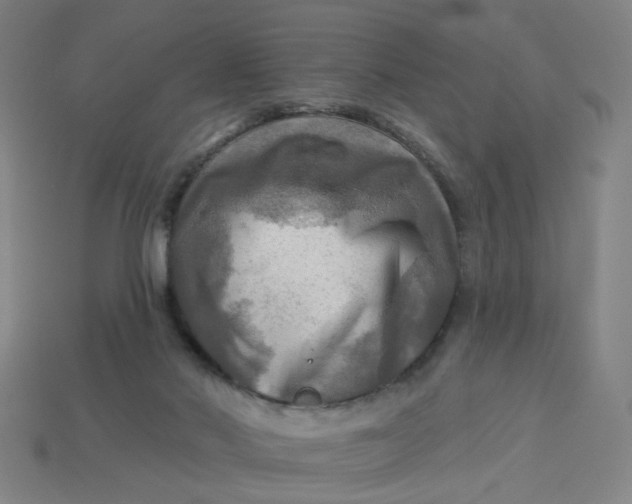 X0000113340022200910061007