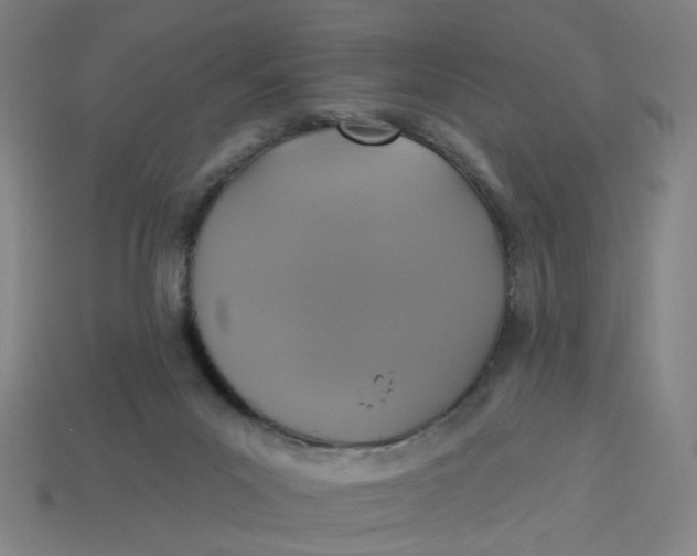 X0000113340023200910061007