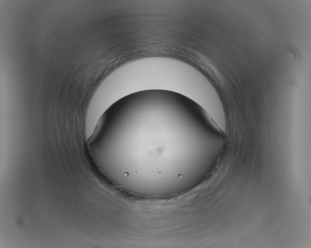 X0000113340025200910061007