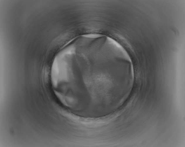 X0000113340026200910061007