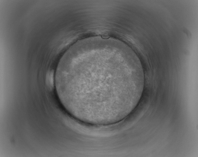 X0000113340028200910061007
