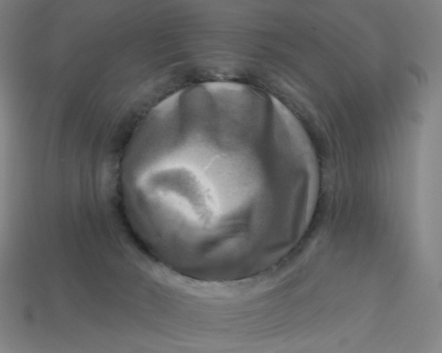X0000113340030200910061007