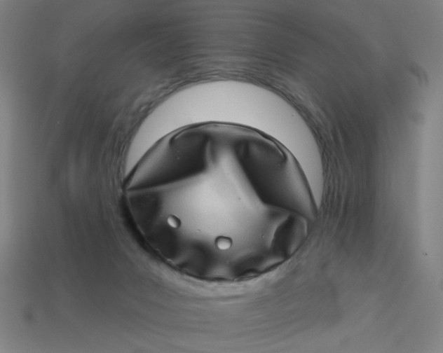X0000113340031200910061007