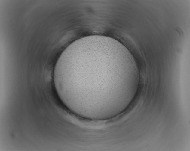X0000113340032200910061007