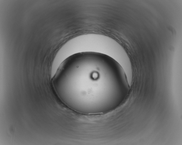 X0000113340033200910061007