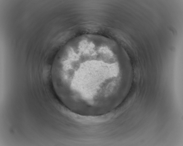 X0000113340034200910061007