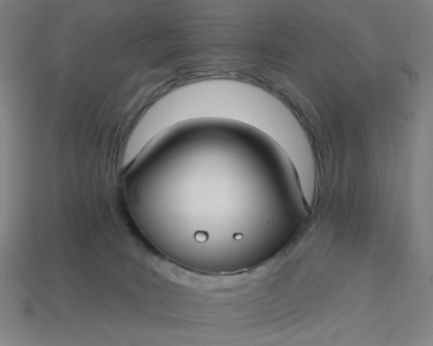 X0000113340035200910061007