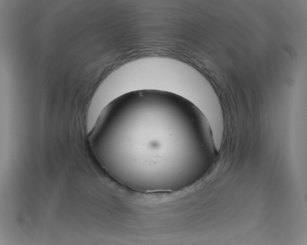 X0000113340037200910061007