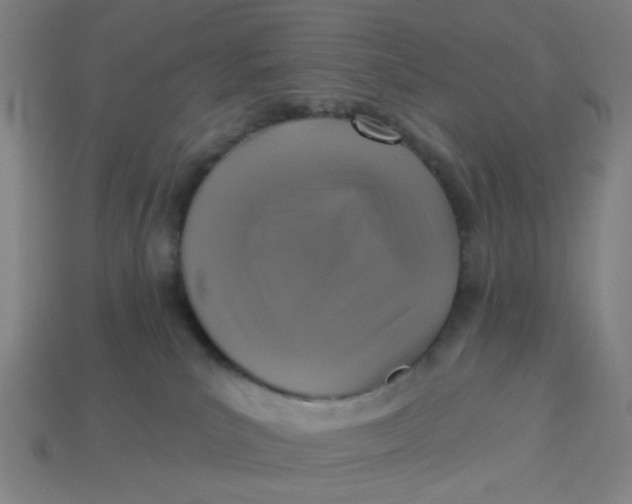 X0000113340039200910061007
