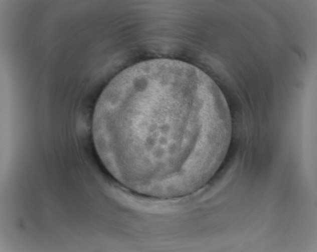 X0000113340040200910061007