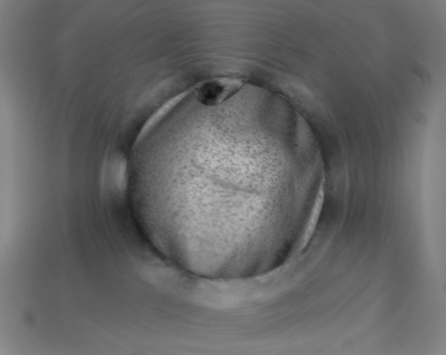 X0000113340041200910061007
