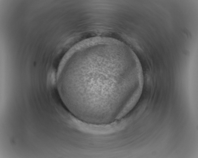 X0000113340042200910061007