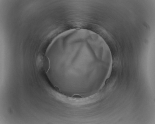 X0000113340043200910061007