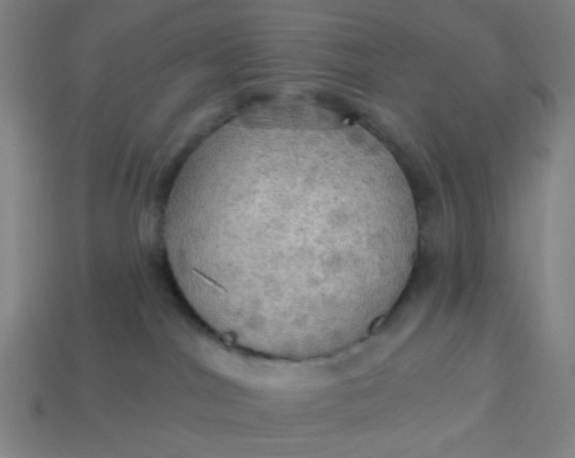 X0000113340044200910061007