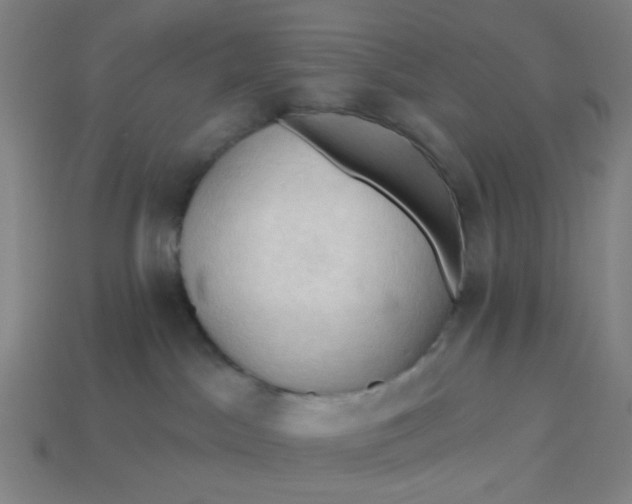 X0000113340045200910061007