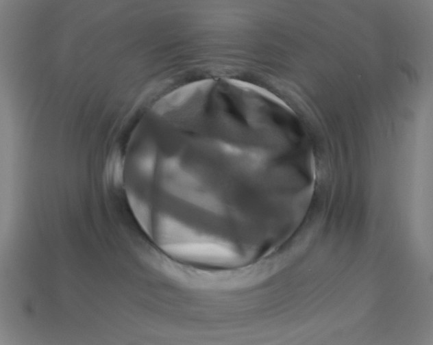 X0000113340046200910061007