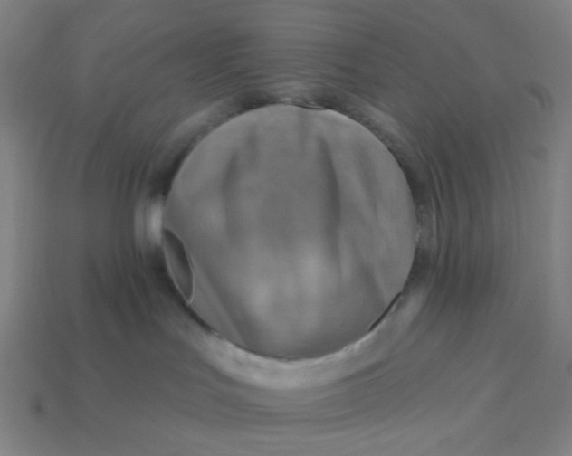 X0000113340047200910061007