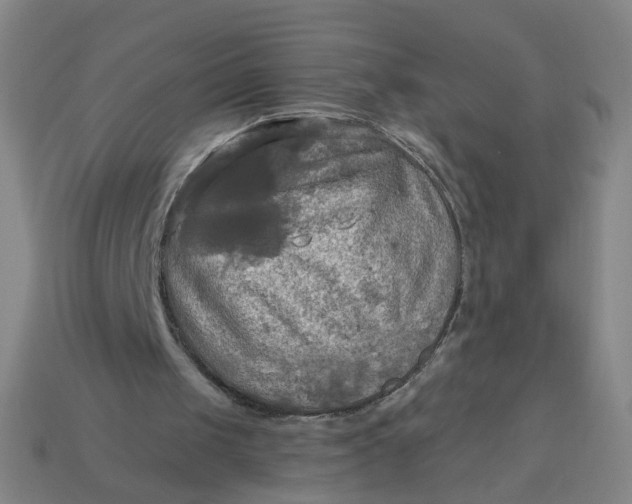 X0000113340049200910061006