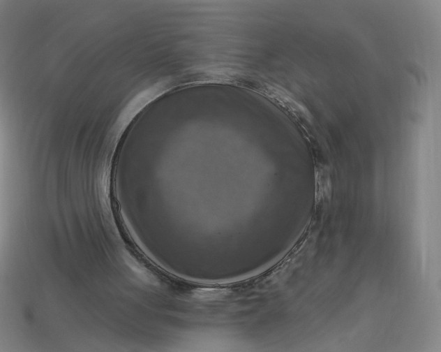 X0000113340051200910061006