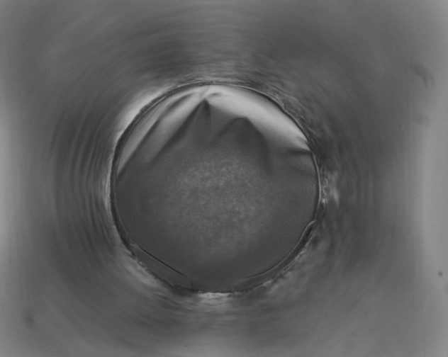 X0000113340052200910061006