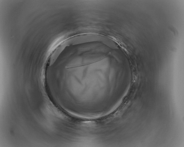 X0000113340053200910061006