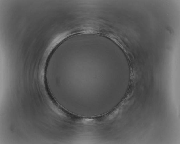 X0000113340055200910061006