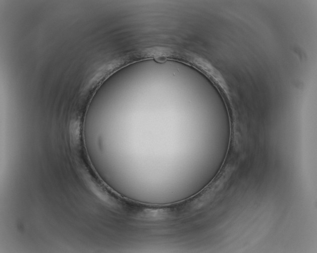 X0000113340057200910061006