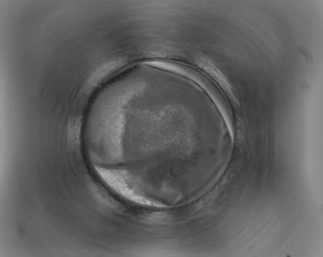 X0000113340058200910061006