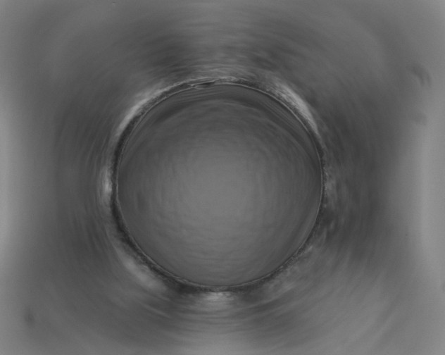 X0000113340059200910061006
