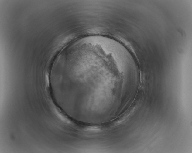 X0000113340061200910061006