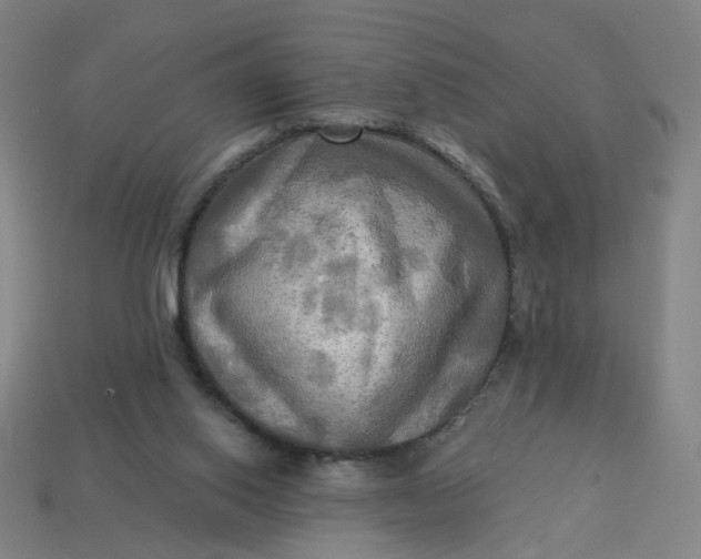 X0000113340062200910061006