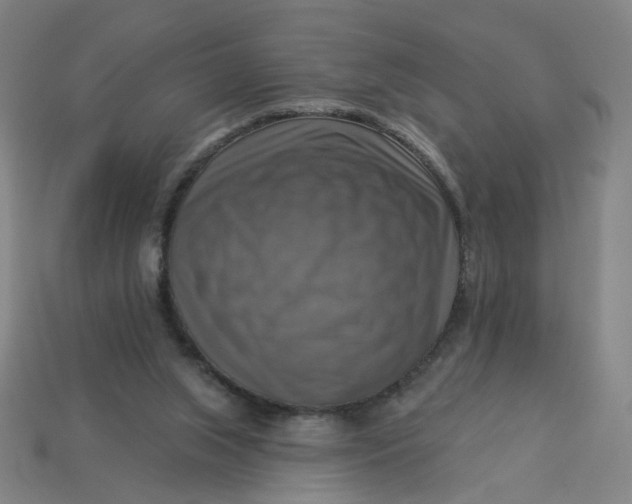 X0000113340063200910061006