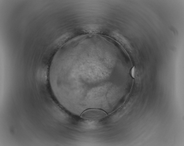 X0000113340065200910061006