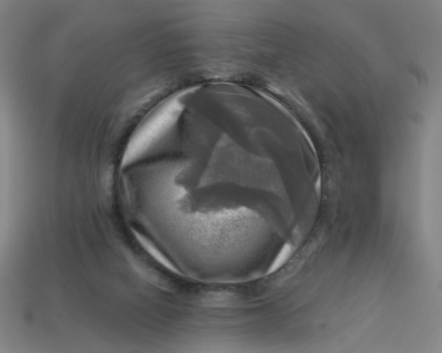 X0000113340066200910061006