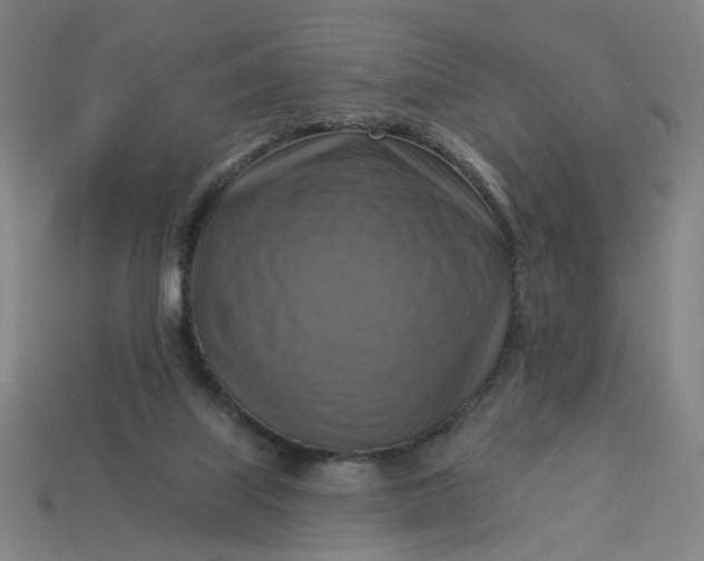 X0000113340067200910061006