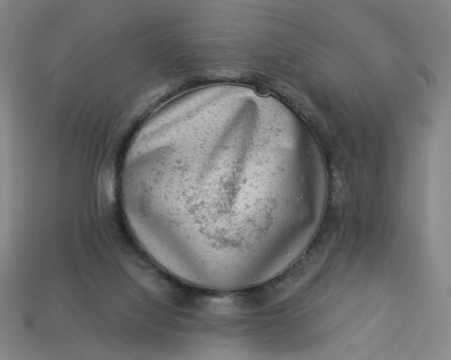 X0000113340068200910061006