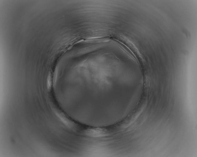 X0000113340069200910061007