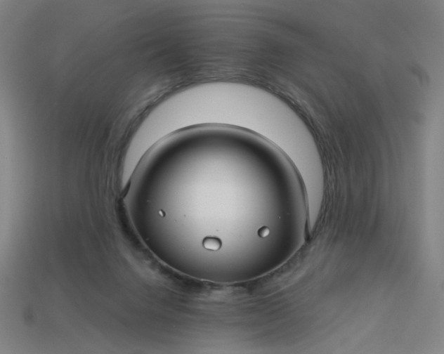 X0000113340072200910061007