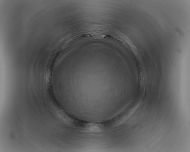 X0000113340073200910061007